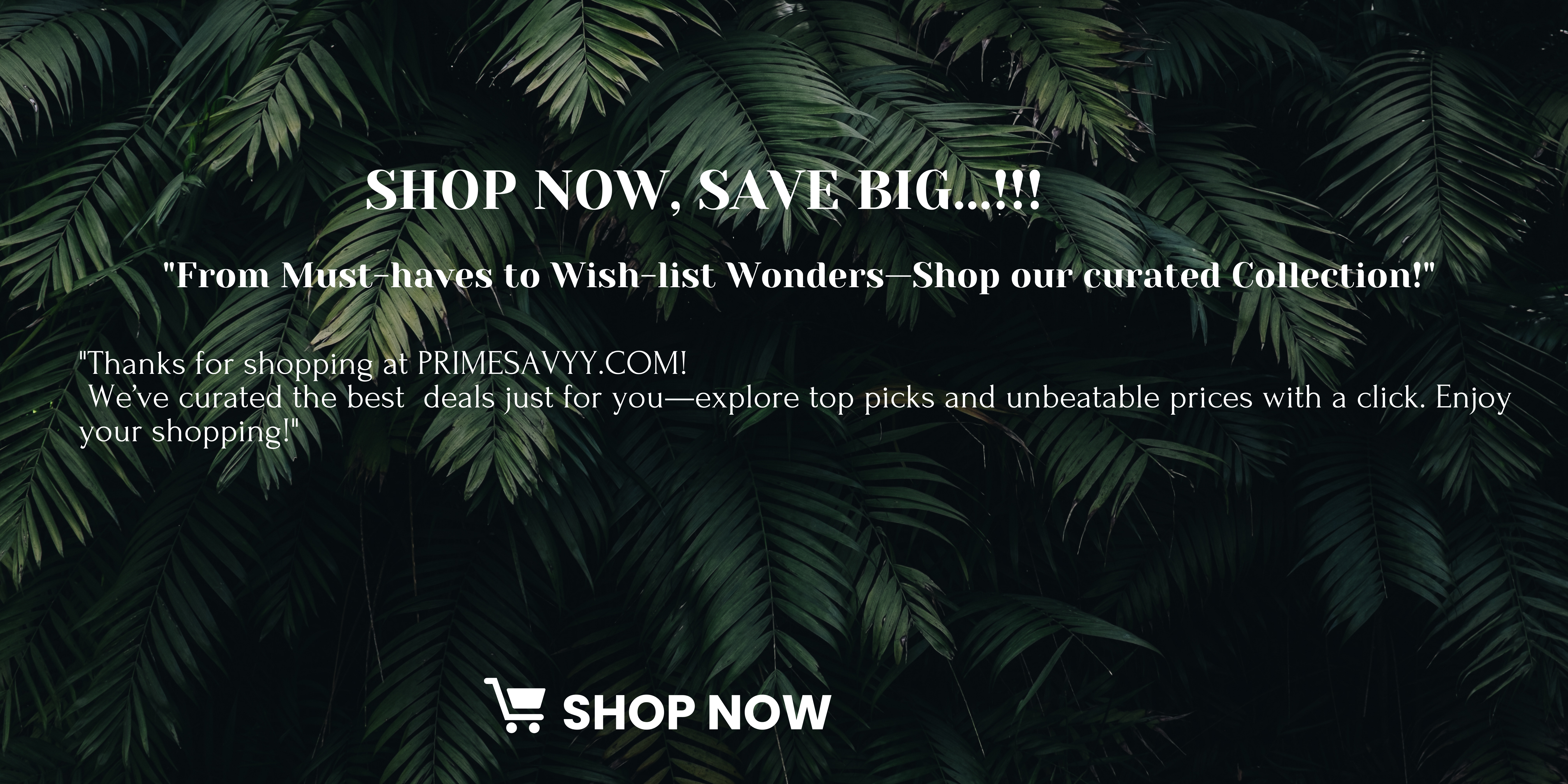 From must-haves to wish-list wonders—shop our curated collection!